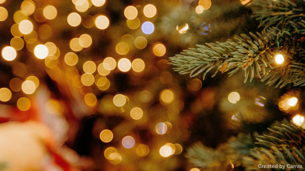 Winter Decor LV for a Warm and Classy Look