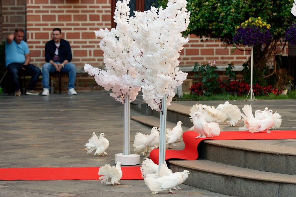 Decorations include things like the Red Carpet