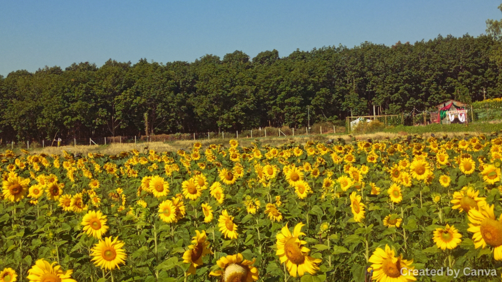 Finding beautiful places in nature and hidden treasures