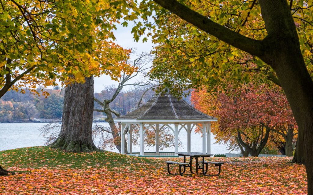 A picturesque fall wedding scene with colorful leaves and a beautiful backdrop. — best time for las vegas wedding