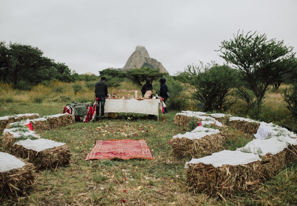 A charming outdoor wedding setup surrounded by desert flora. — best time to get married Las Vegas