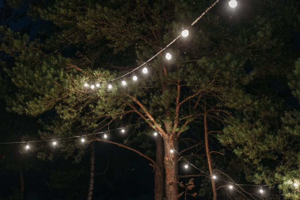 An enchanting forest-themed wedding with twinkling lights and natural decor. — unique Las Vegas wedding themes