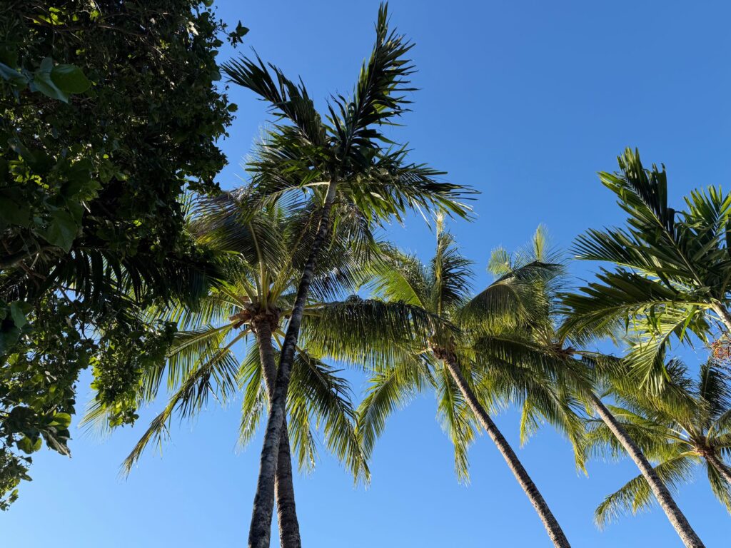 9. Tropical Paradise: A Destination Feel — Las Vegas wedding themes 2026