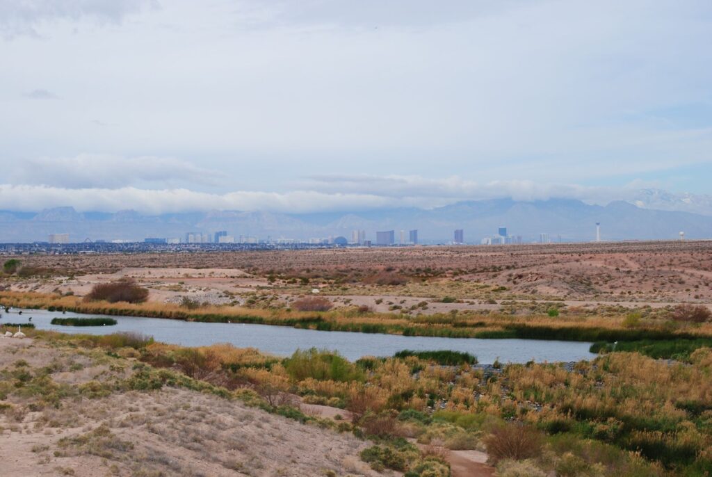 A beautiful outdoor wedding setup in Las Vegas showcasing natural scenery. — budget Las Vegas wedding