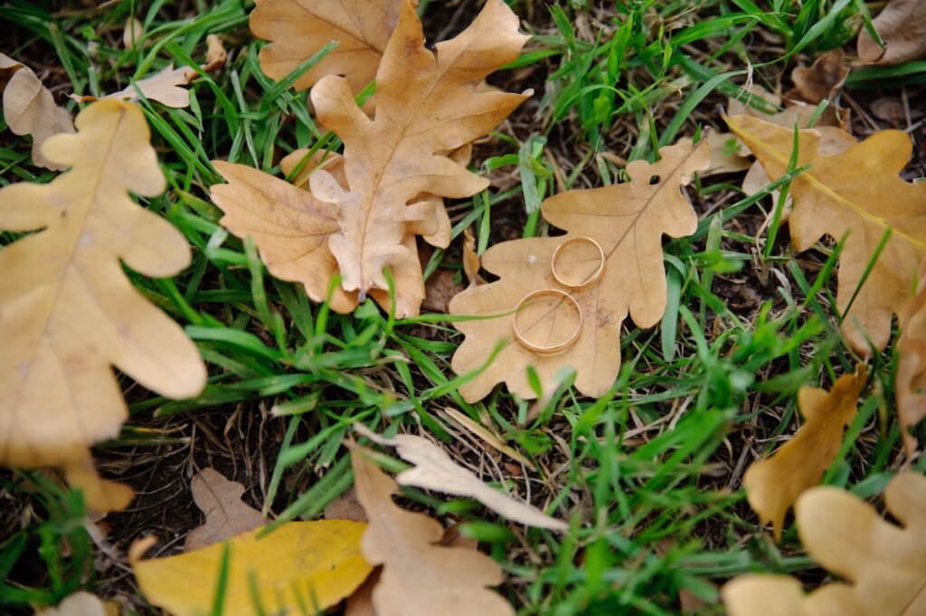 A beautifully decorated fall wedding venue with autumn leaves and colors. — best season for Las Vegas wedding