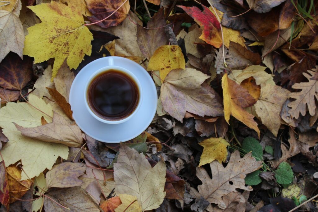 A cozy fall wedding scene with colorful autumn leaves. — best time to get married Las Vegas