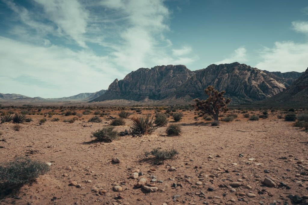 A scenic outdoor venue in Las Vegas, showcasing the desert landscape. — elopement Las Vegas guide