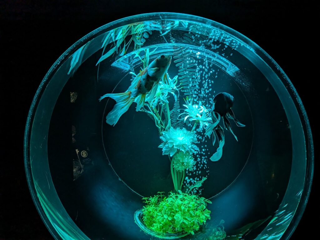 An underwater-themed wedding scene with aquatic decor and blue hues. — Las Vegas wedding themes
