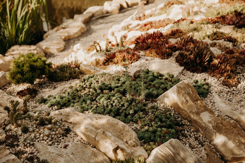 A desert-inspired wedding with native plants and earthy color palettes. — Las Vegas wedding themes 2026