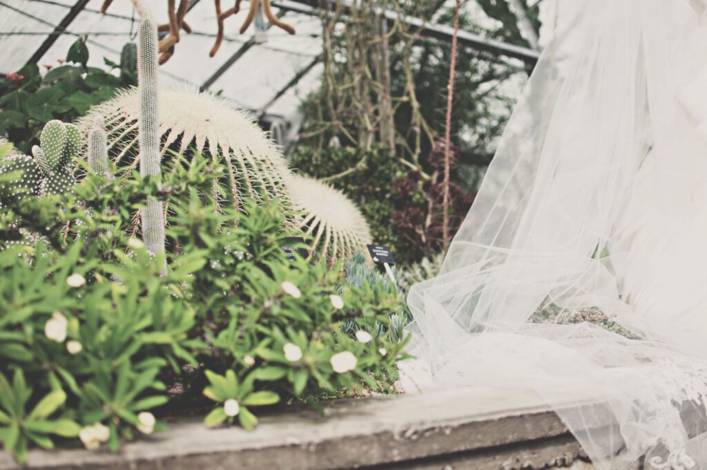 A unique wedding setup inside Ethel M Chocolates Botanical Cactus Garden surrounded by cacti. — unique wedding venues La…